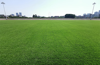 发展校园足球是为了踏踏实实育人